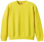 �u���[�W���O�C�G���[